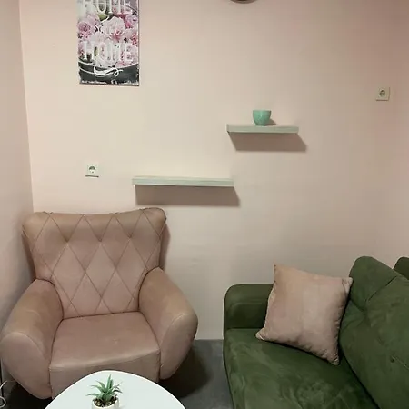 Cactus 021 Novi Sad