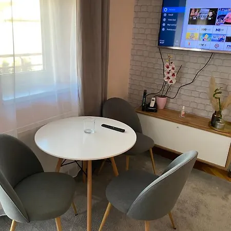 Cactus 021 * Novi Sad