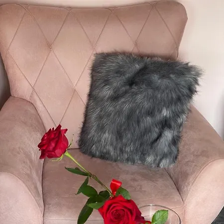 Cactus 021 * Novi Sad