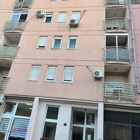 Cactus 021 * Novi Sad