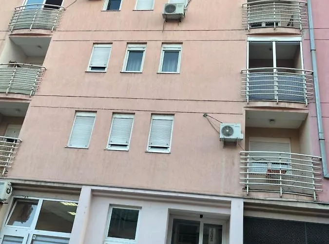 Cactus 021 * Novi Sad